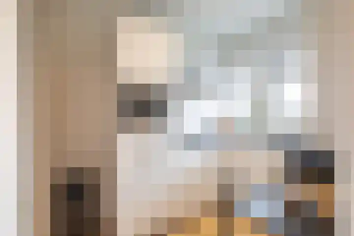 Zaagmuldersweg 554 Groningen thumbnail 29