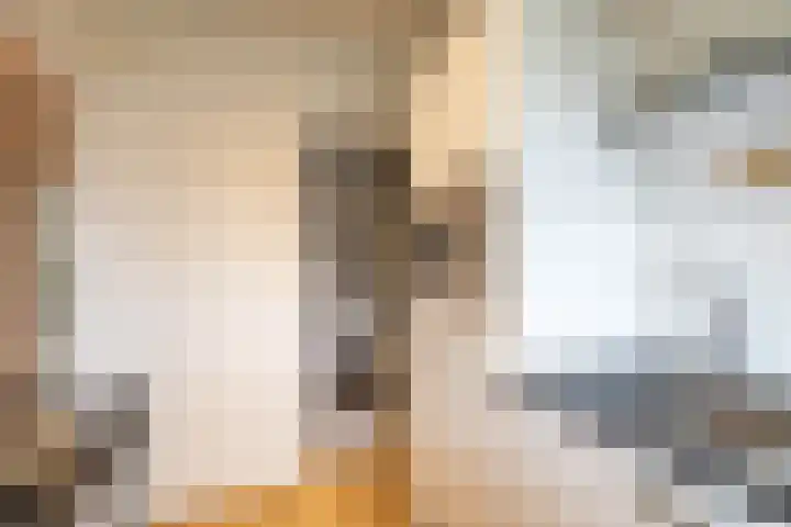 Zaagmuldersweg 554 Groningen thumbnail 32