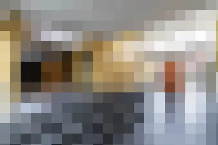 Zaagmuldersweg 554 Groningen thumbnail 34