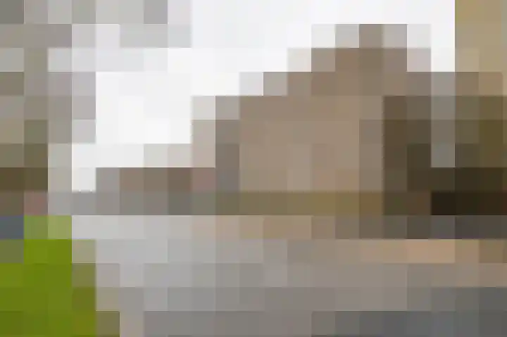 Zaagmuldersweg 554 Groningen thumbnail 37
