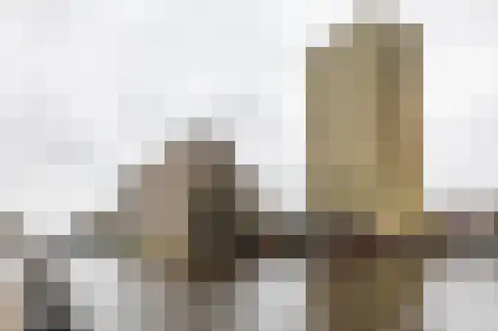 Zaagmuldersweg 554 Groningen thumbnail 4
