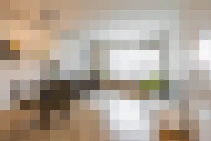 Zaagmuldersweg 554 Groningen thumbnail 7