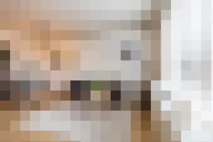 Zaagmuldersweg 554 Groningen thumbnail 9