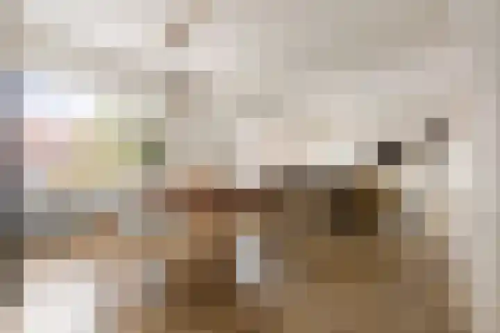 Zaagmuldersweg 566 Groningen thumbnail 10