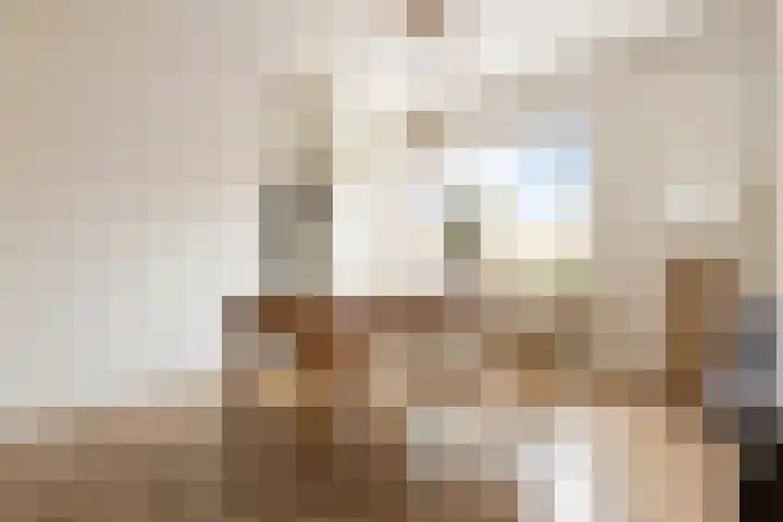 Zaagmuldersweg 566 Groningen thumbnail 11