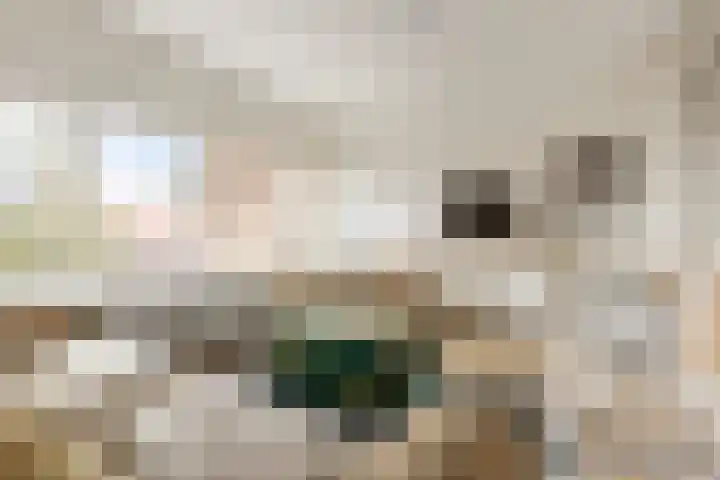 Zaagmuldersweg 566 Groningen thumbnail 13