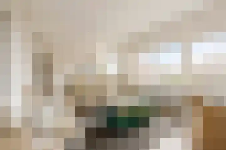 Zaagmuldersweg 566 Groningen thumbnail 14