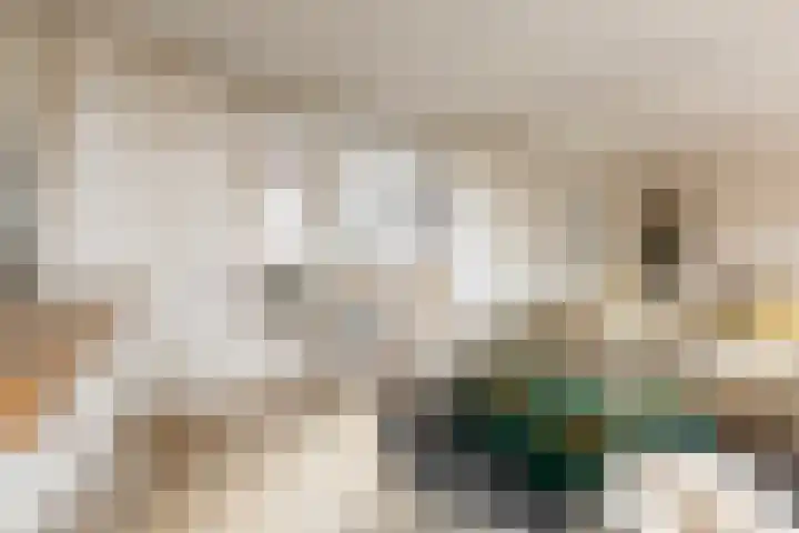 Zaagmuldersweg 566 Groningen thumbnail 16