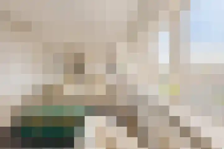 Zaagmuldersweg 566 Groningen thumbnail 18