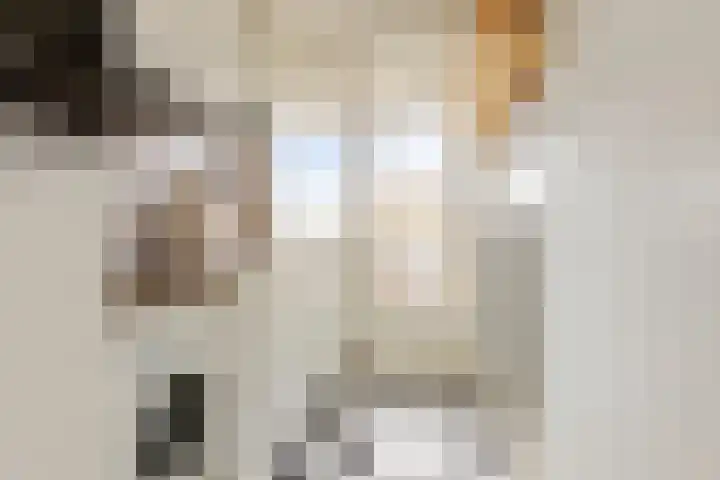 Zaagmuldersweg 566 Groningen thumbnail 20