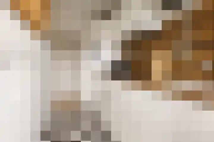 Zaagmuldersweg 566 Groningen thumbnail 22