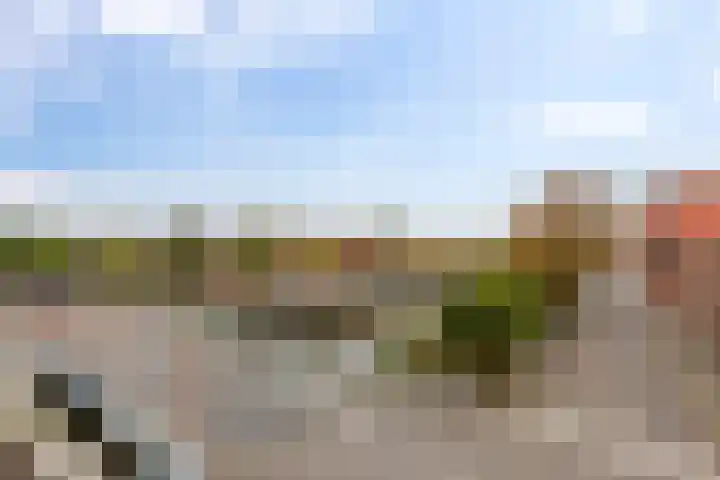Zaagmuldersweg 566 Groningen thumbnail 29