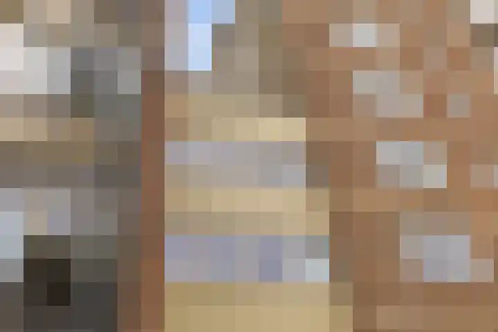Zaagmuldersweg 566 Groningen thumbnail 35