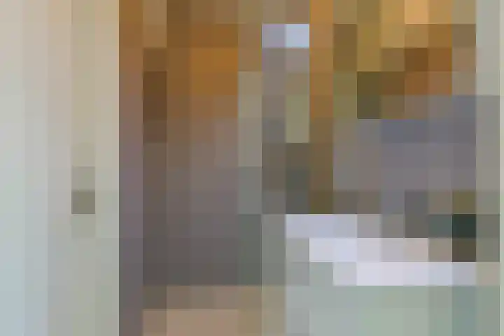 Zaagmuldersweg 574 Groningen thumbnail 21