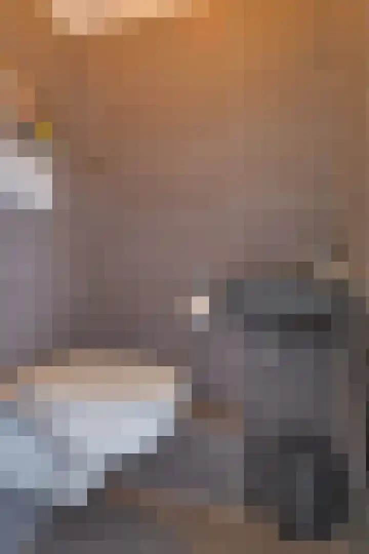 Zaagmuldersweg 574 Groningen thumbnail 32