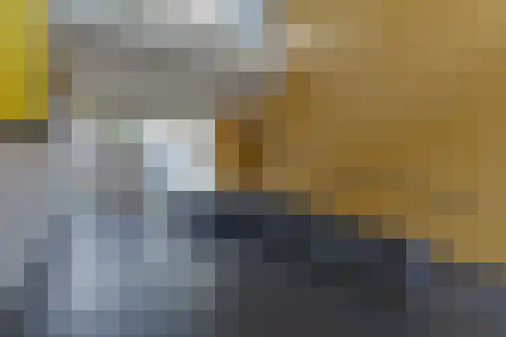 Zaagmuldersweg 574 Groningen thumbnail 4