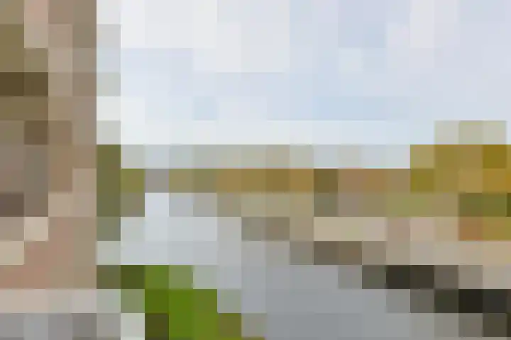 Zaagmuldersweg 574 Groningen thumbnail 6
