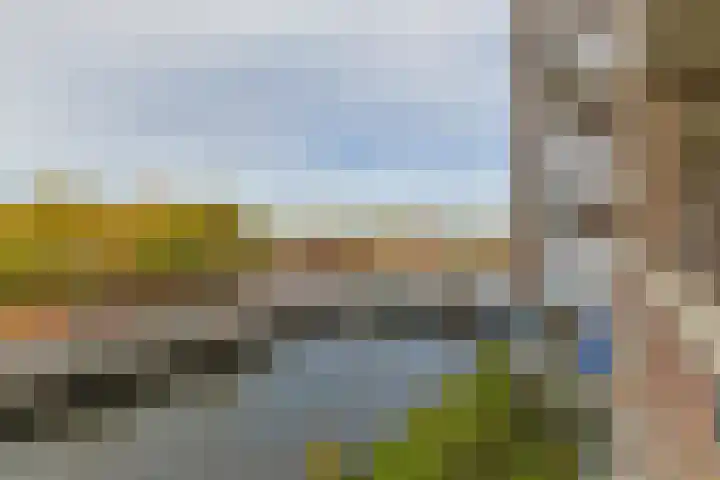 Zaagmuldersweg 574 Groningen thumbnail 7