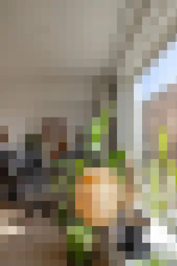 Zaagmuldersweg 588 Groningen thumbnail 12