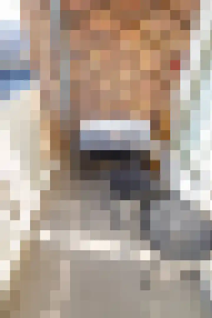Zaagmuldersweg 588 Groningen thumbnail 16