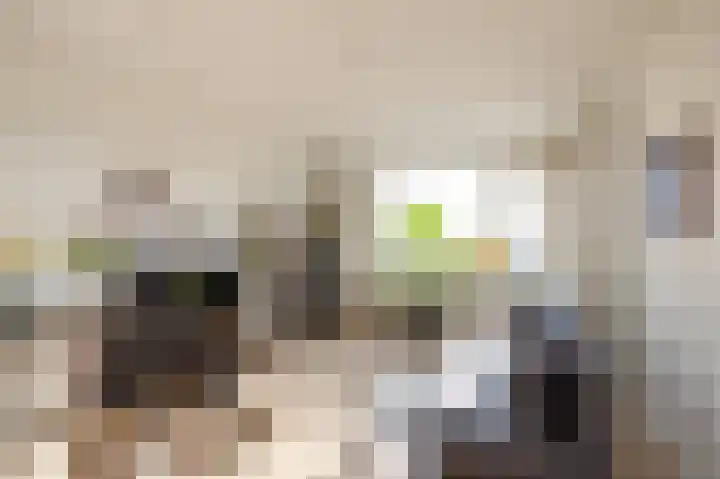 Zaagmuldersweg 588 Groningen thumbnail 31