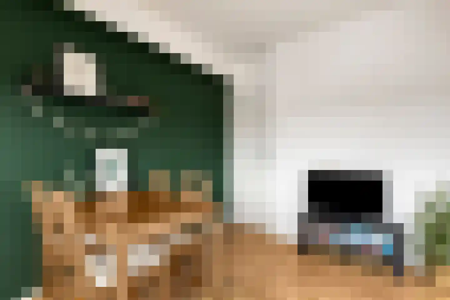 Zaagmuldersweg 620 Groningen thumbnail 15