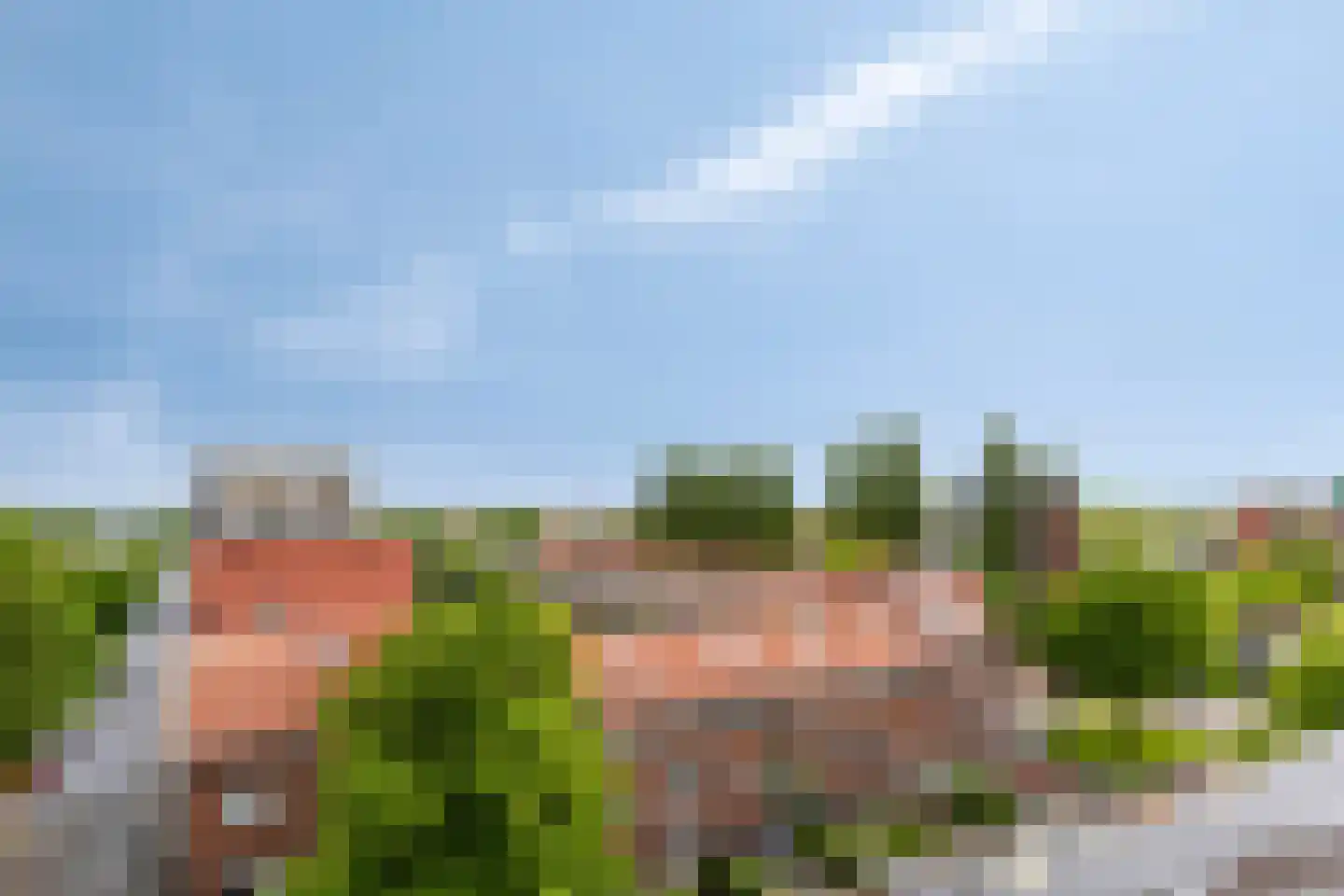 Zaagmuldersweg 620 Groningen thumbnail 17