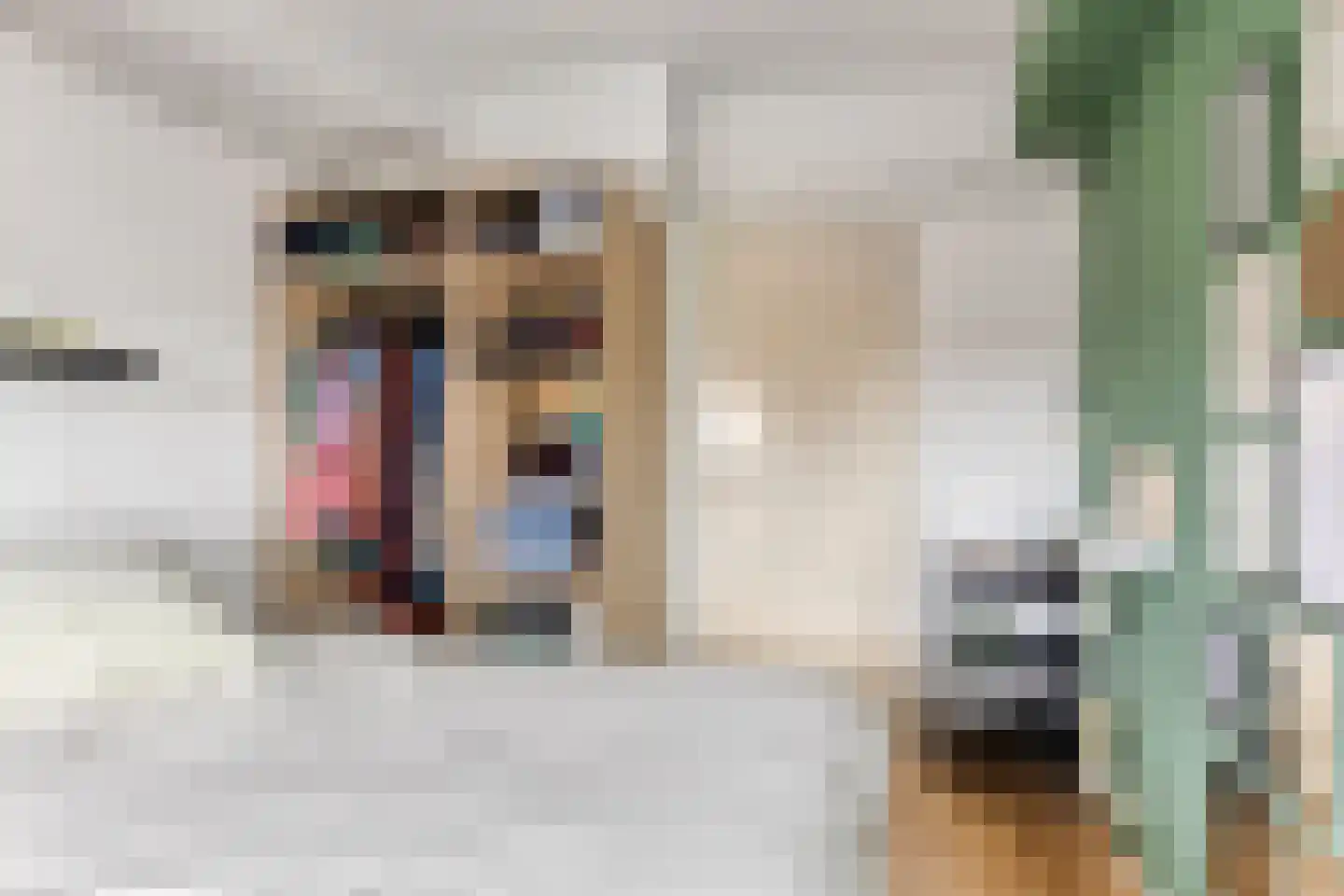 Zaagmuldersweg 620 Groningen thumbnail 24