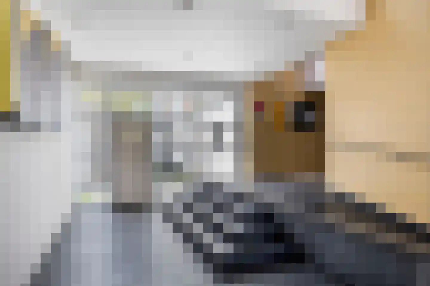 Zaagmuldersweg 620 Groningen thumbnail 7