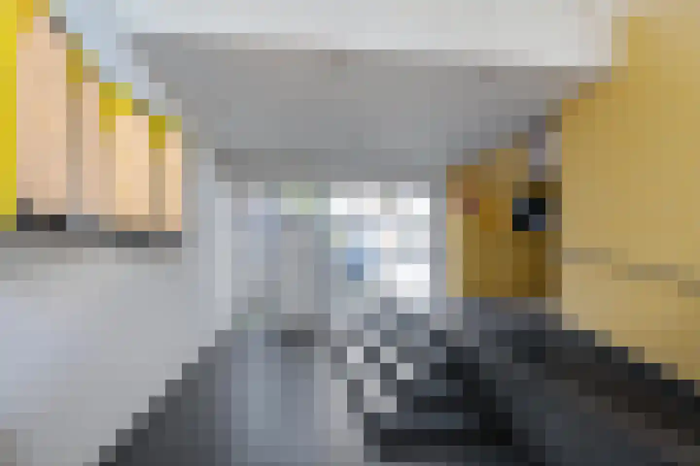 Zaagmuldersweg 648 Groningen thumbnail 10
