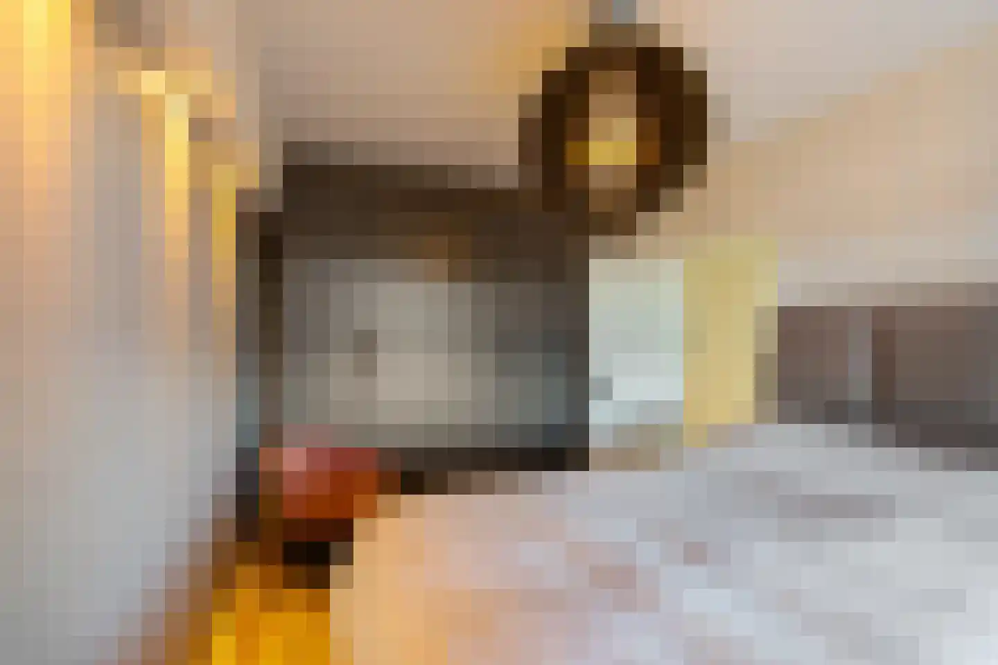 Zaagmuldersweg 648 Groningen thumbnail 18