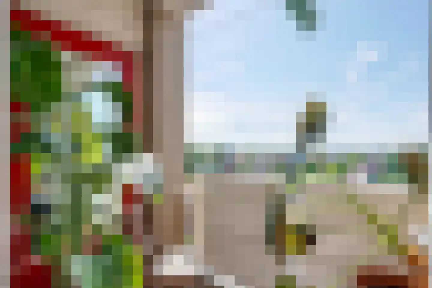 Zaagmuldersweg 674 Groningen thumbnail 5