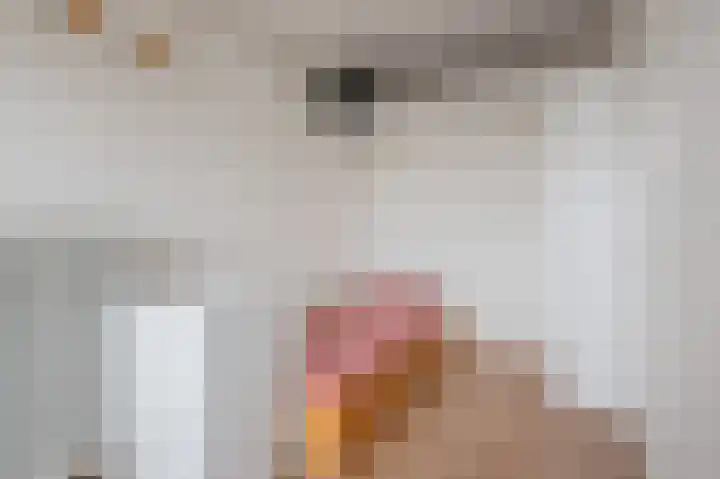 Zaagmuldersweg 676 Groningen thumbnail 22