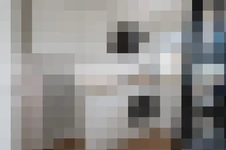 Zaagmuldersweg 676 Groningen thumbnail 23