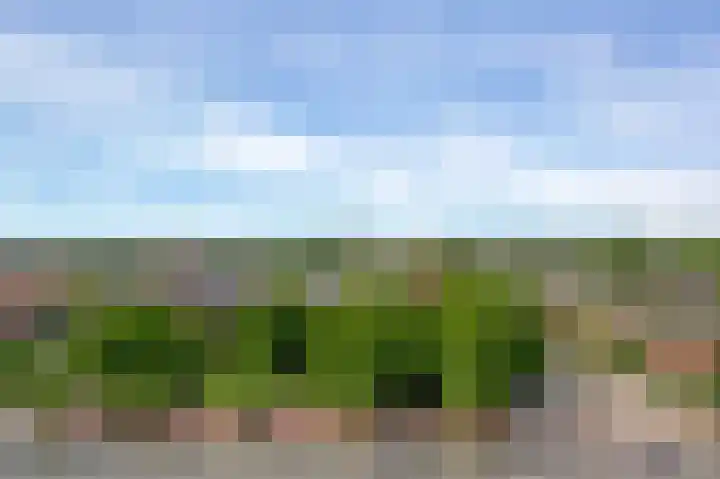 Zaagmuldersweg 676 Groningen thumbnail 29