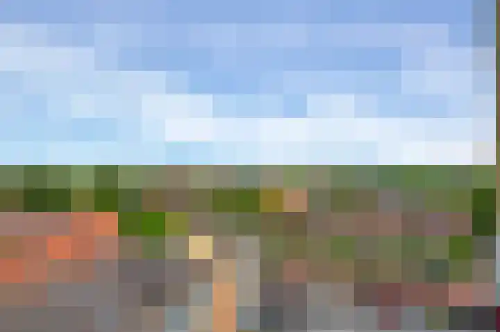 Zaagmuldersweg 676 Groningen thumbnail 30