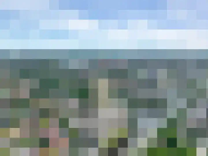 Zaagmuldersweg 676 Groningen thumbnail 5