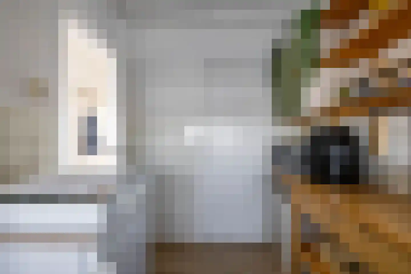 Zaagmuldersweg 684 Groningen thumbnail 21