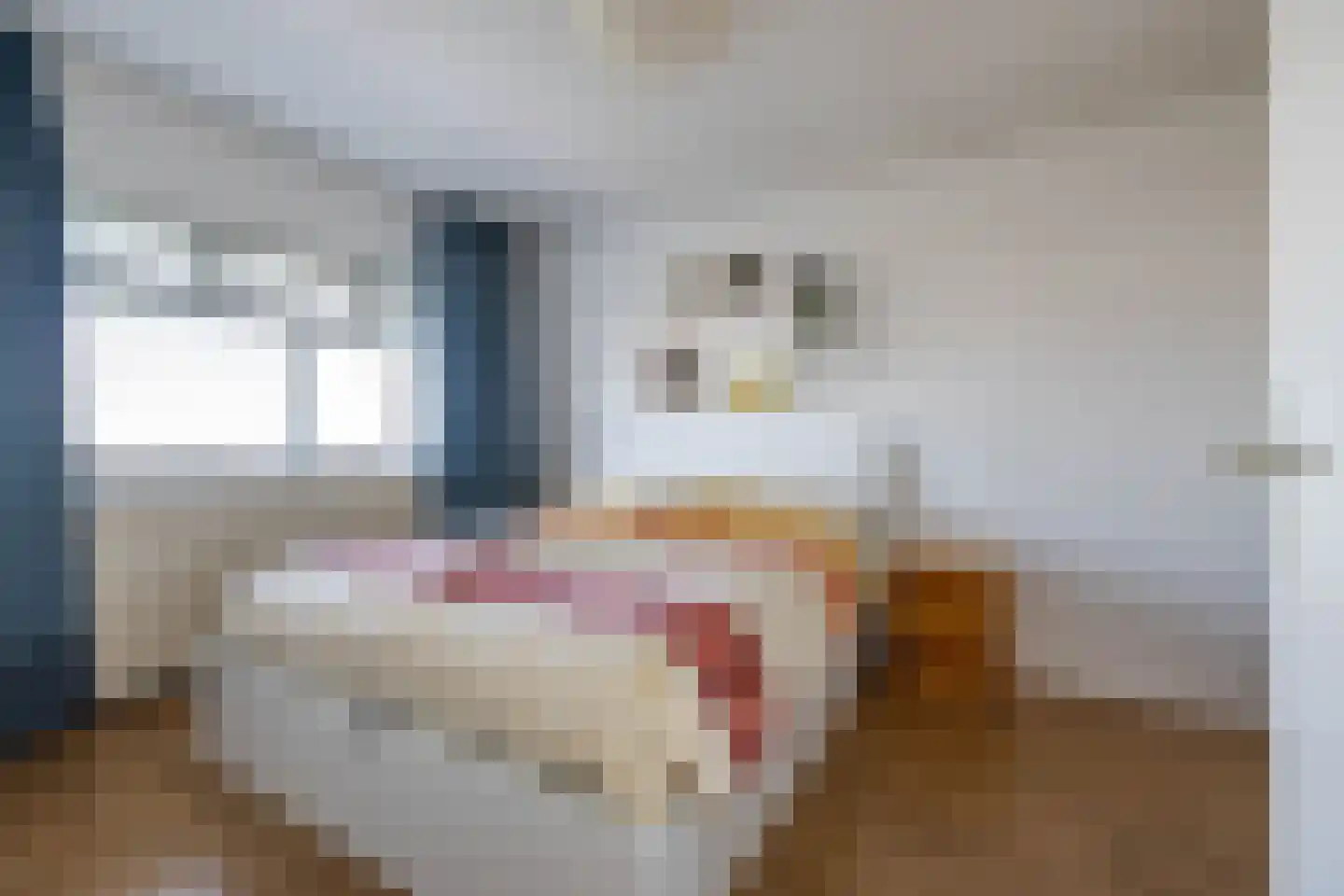 Zaagmuldersweg 684 Groningen thumbnail 4
