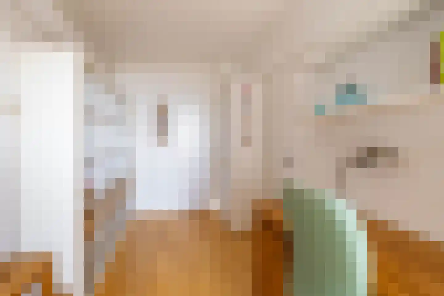 Zaagmuldersweg 684 Groningen thumbnail 5