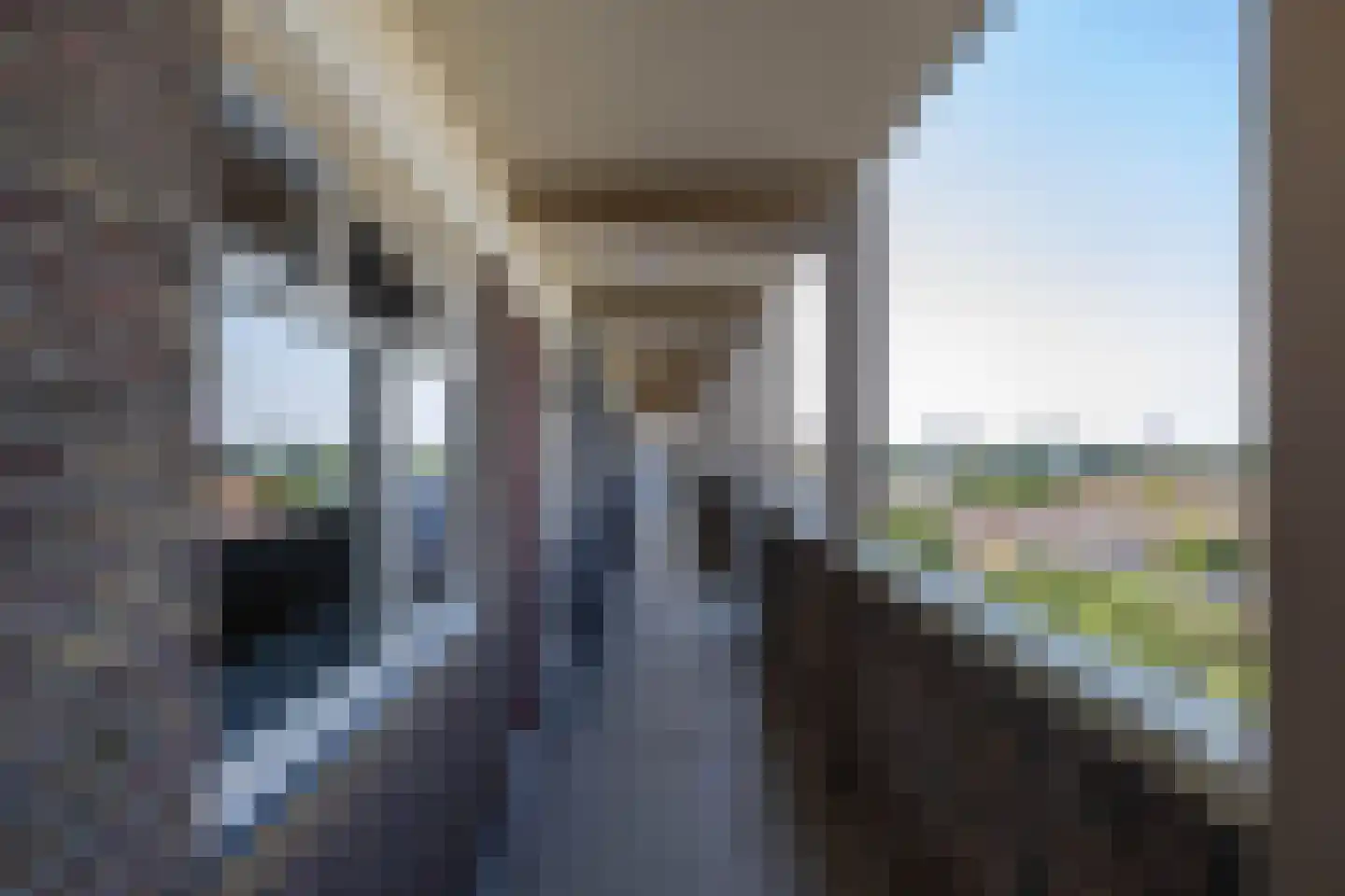 Zaagmuldersweg 684 Groningen thumbnail 7