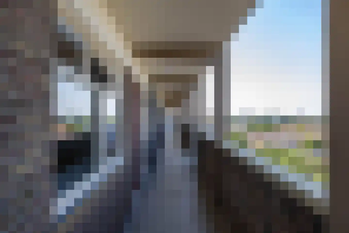 Zaagmuldersweg 684 Groningen thumbnail 7