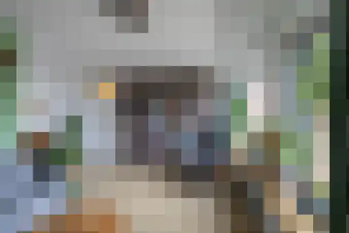 Zaagmuldersweg 78 b Groningen thumbnail 11