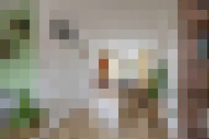 Zaagmuldersweg 78 b Groningen thumbnail 13