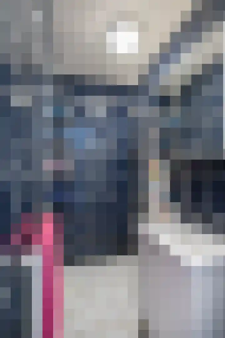 Zaagmuldersweg 78 b Groningen thumbnail 26