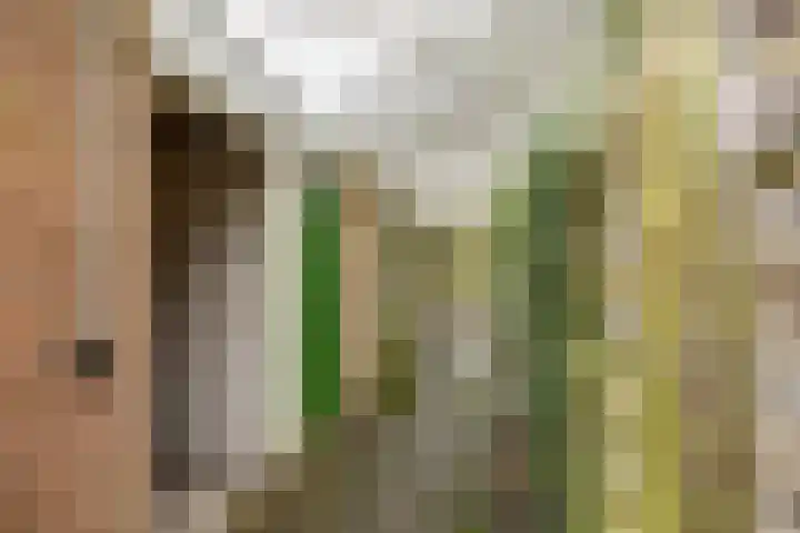 Zaagmuldersweg 78 b Groningen thumbnail 34