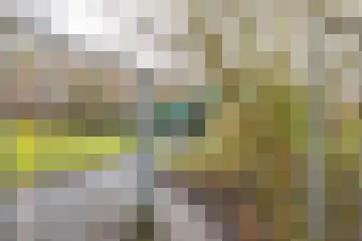 Zaagmuldersweg 78 b Groningen thumbnail 35