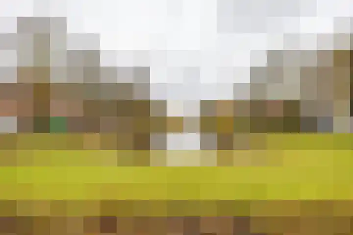 Zaagmuldersweg 78 b Groningen thumbnail 37