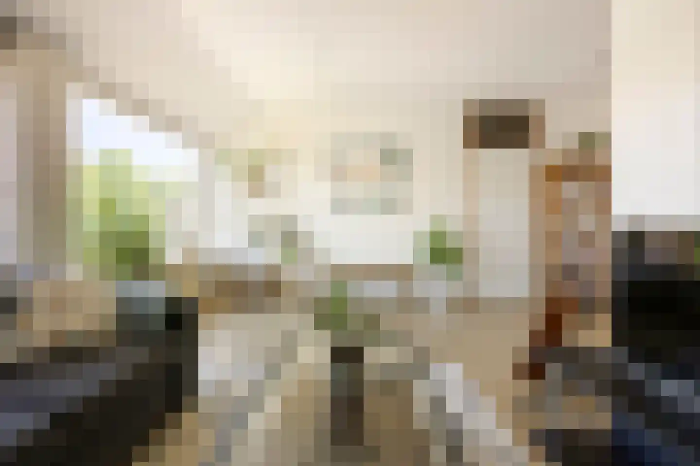 Zaagmuldersweg 80 b Groningen thumbnail 22