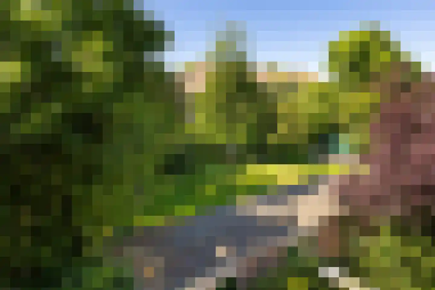 Zaagmuldersweg 80 b Groningen thumbnail 30